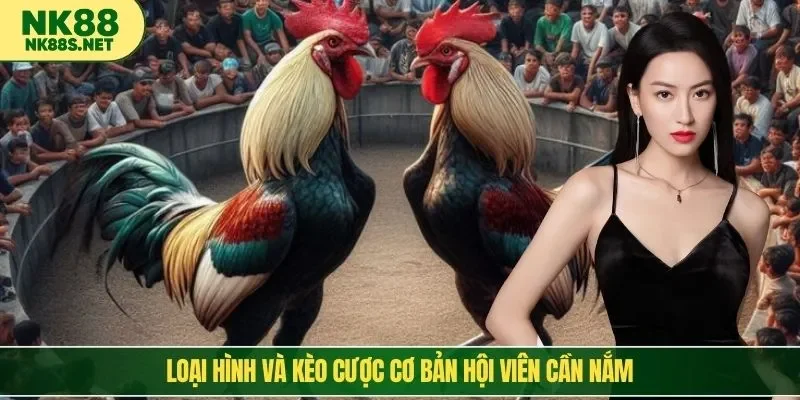 Loại hình và kèo cược cơ bản hội viên cần nắm