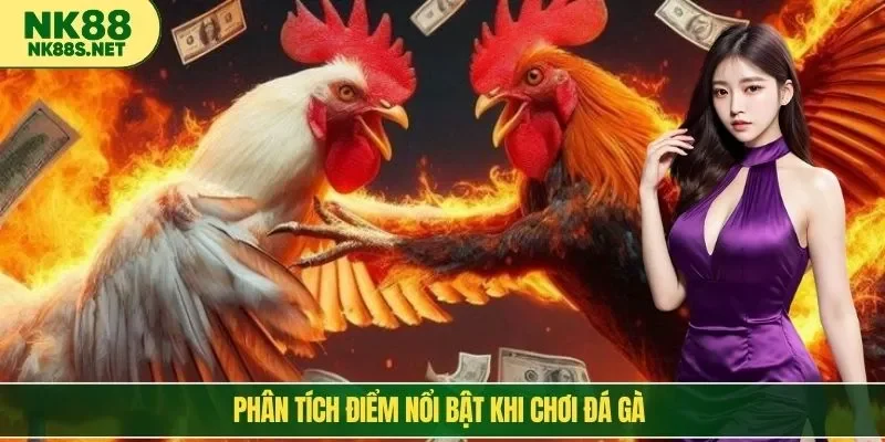 Phân tích điểm nổi bật khi chơi đá gà