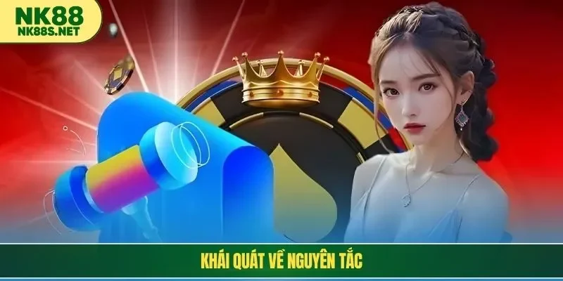 Khái quát về nguyên tắc